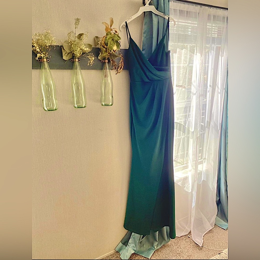 Nwt! Windsor floor length dress!